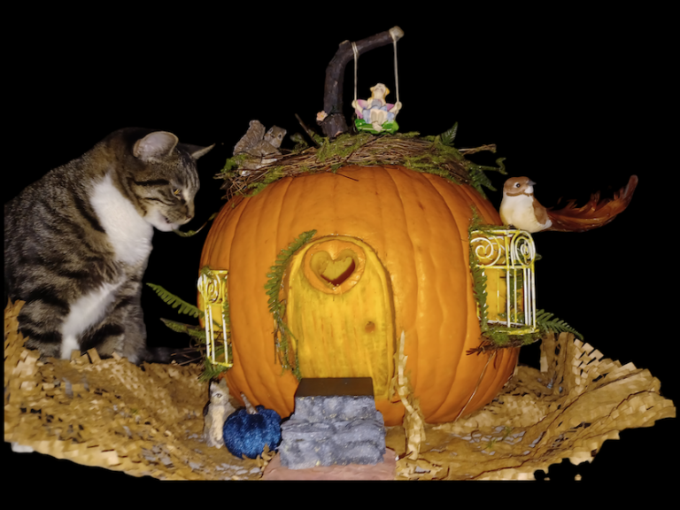 Pumpkin carved into the shape of a house with cat and bird on the sides.